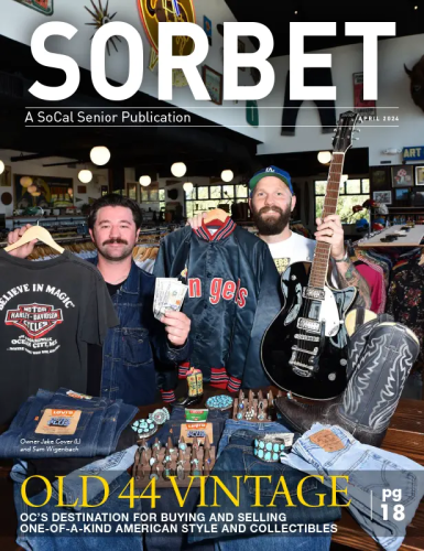 Sorbet_cover_04_26.webp